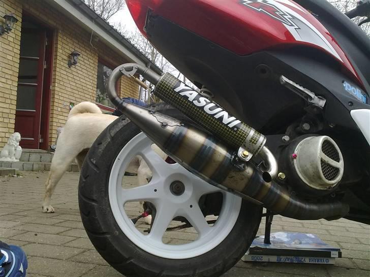 Yamaha Jog R (Stunt'mis!) billede 11