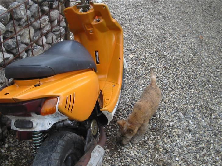 Yamaha bws NG byttet billede 4