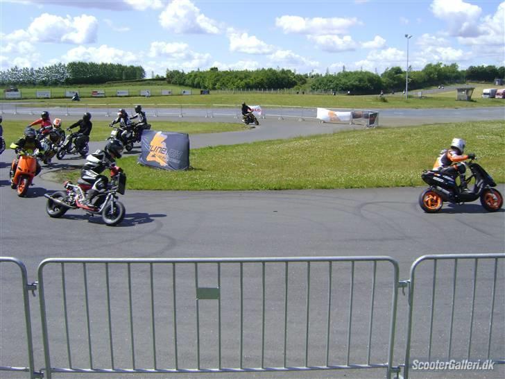 Piaggio Typhoon Silberpfeil - Der er Evo mafia´en også er der de andre. billede 10