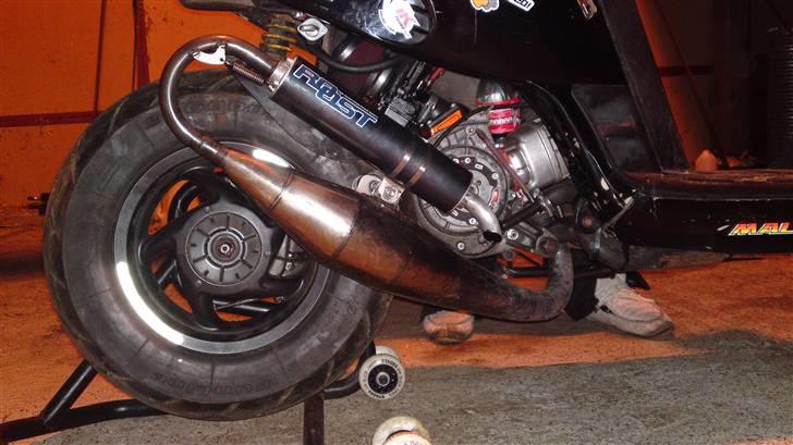 Piaggio Typhoon snigern lc billede 6