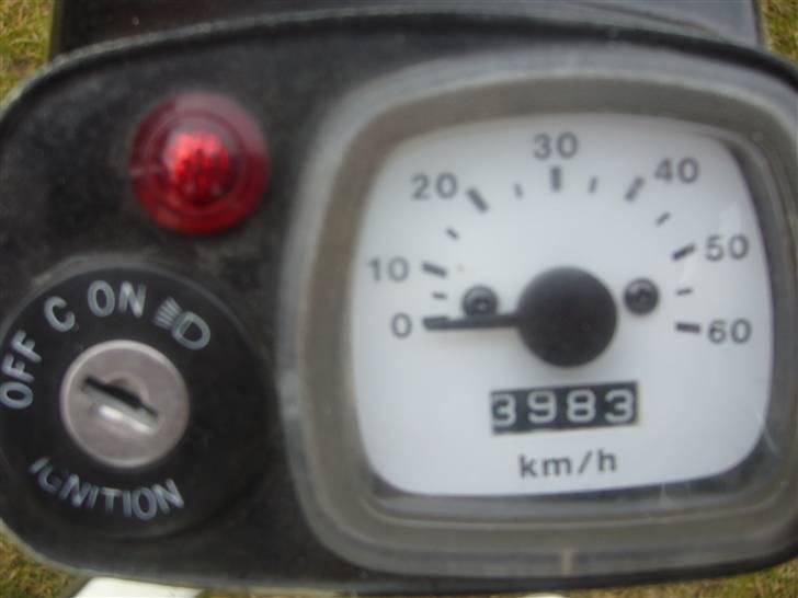 Suzuki FZ50 billede 5