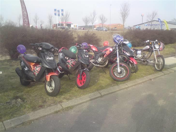 PGO hot 50 efter- solgt billede 11