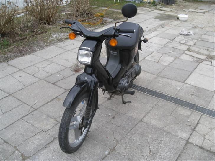 Honda Wallaroo billede 1