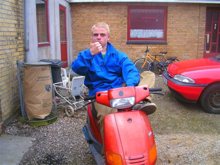 Piaggio zip(død) billede 5