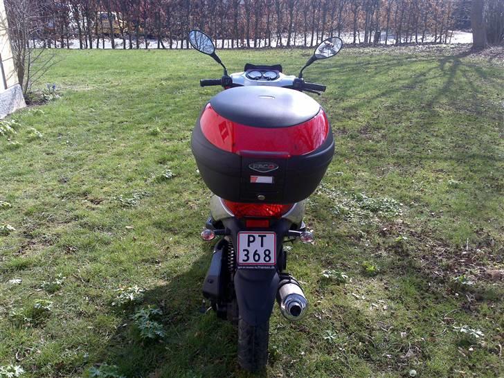 Giantco STEALTH.  billede 5