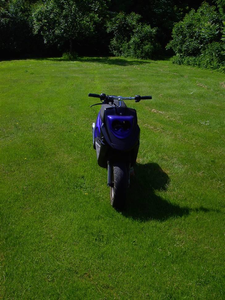 PGO Hot 50 billede 3