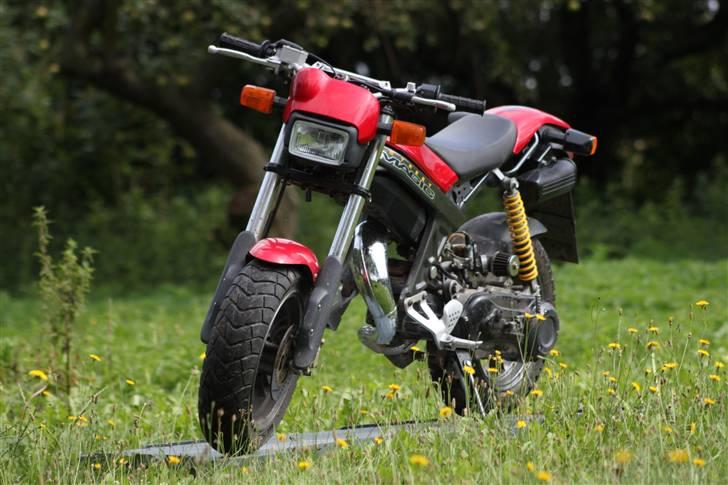 Suzuki Street Magic [TIL SALG] billede 1