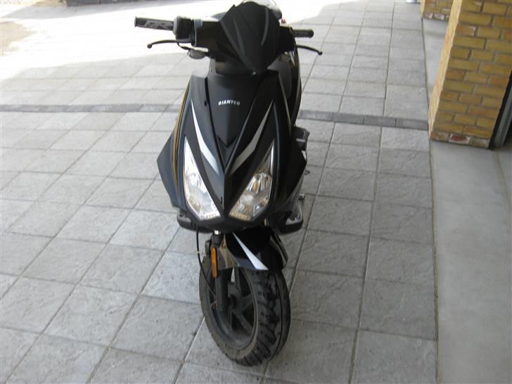 Giantco Lambros billede 3