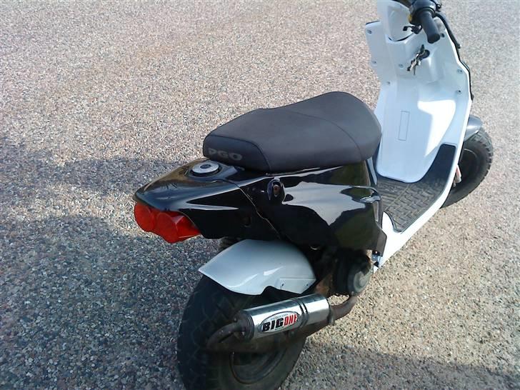 PGO hot 50 billede 6