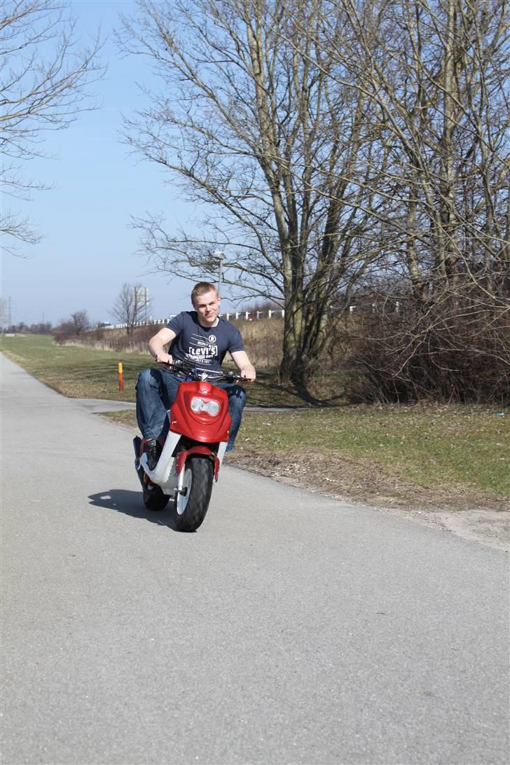 PGO Hot 50  billede 13