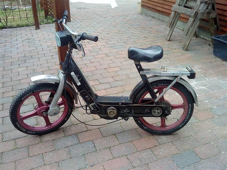 Vespa caio billede 1