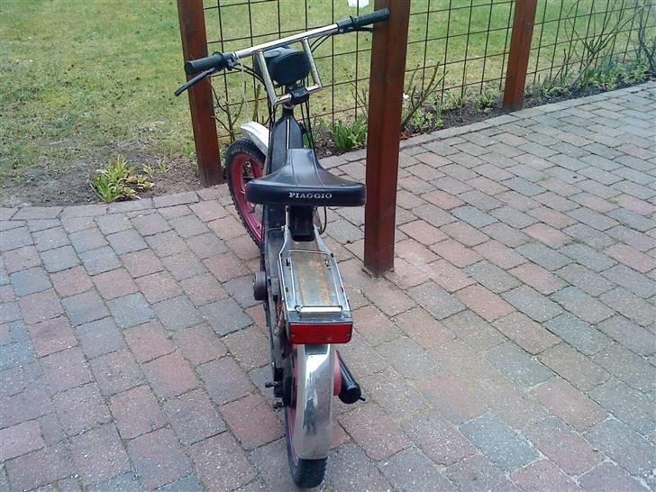 Vespa caio billede 3