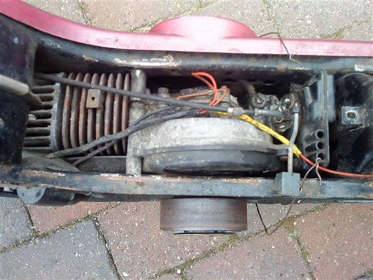 Vespa caio billede 5