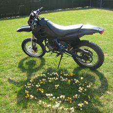 Suzuki Smx