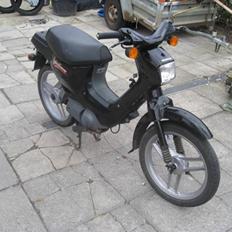 Honda Wallaroo