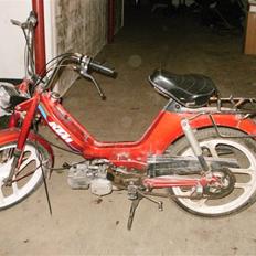 KTM foxi SOLGT 