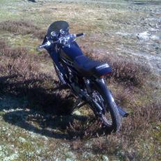 Yamaha FS1 4 Gear m. kåbe