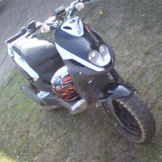 PGO (R-Setup) PMX Naked