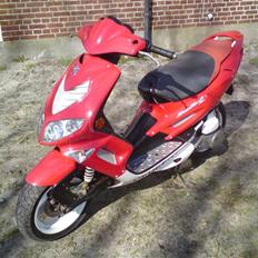 Peugeot Speedfight- Byttet t Neos