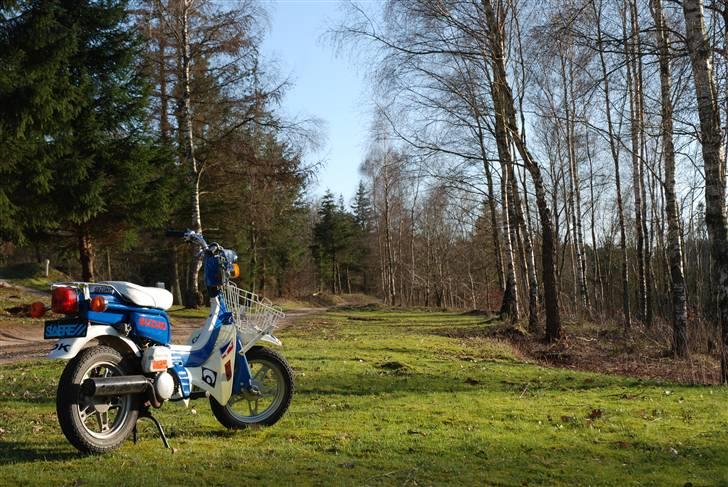 Suzuki FZ 50 billede 1