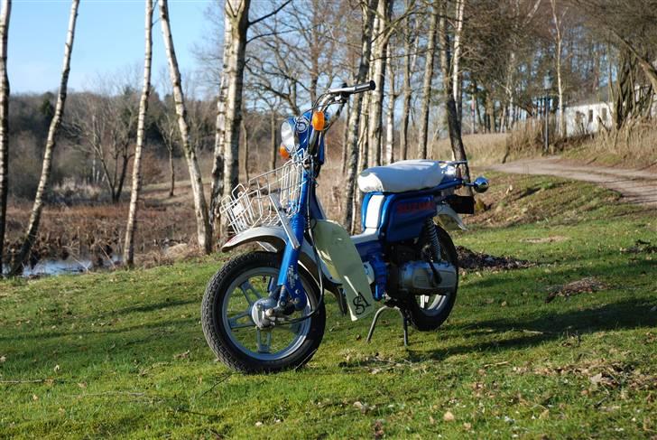 Suzuki FZ 50 billede 3