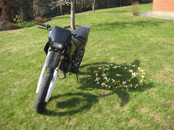 Suzuki Smx billede 3