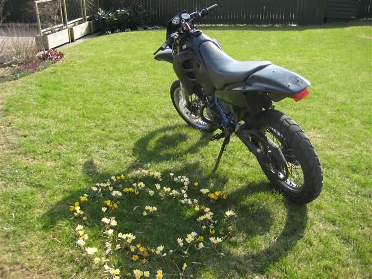 Suzuki Smx billede 7