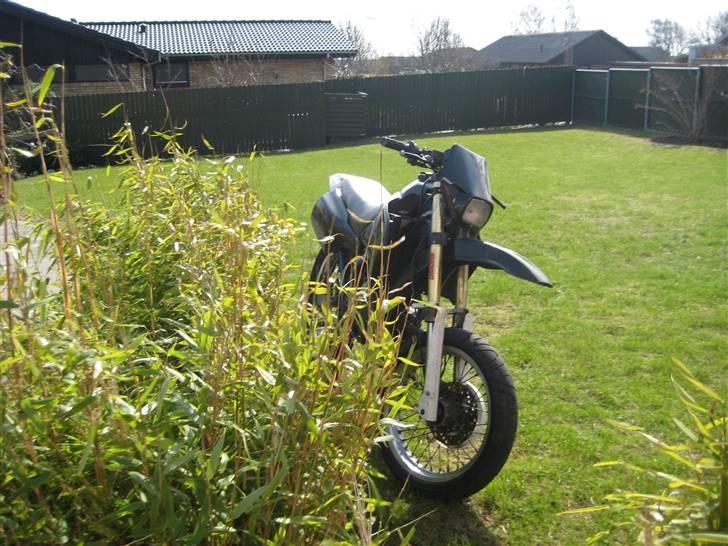 Suzuki Smx billede 8