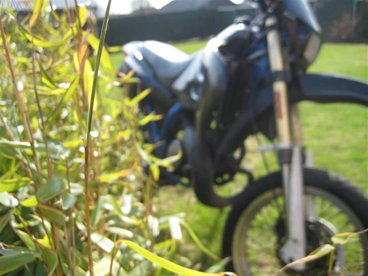 Suzuki Smx billede 9