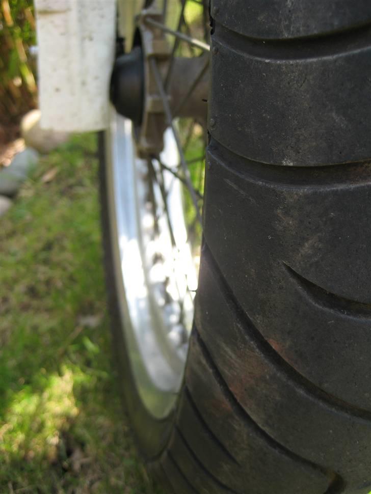 Suzuki Smx billede 10