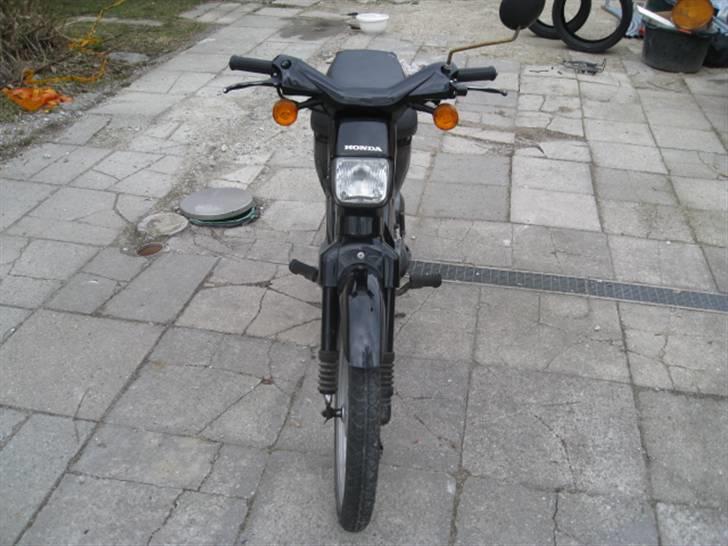 Honda Wallaroo billede 2