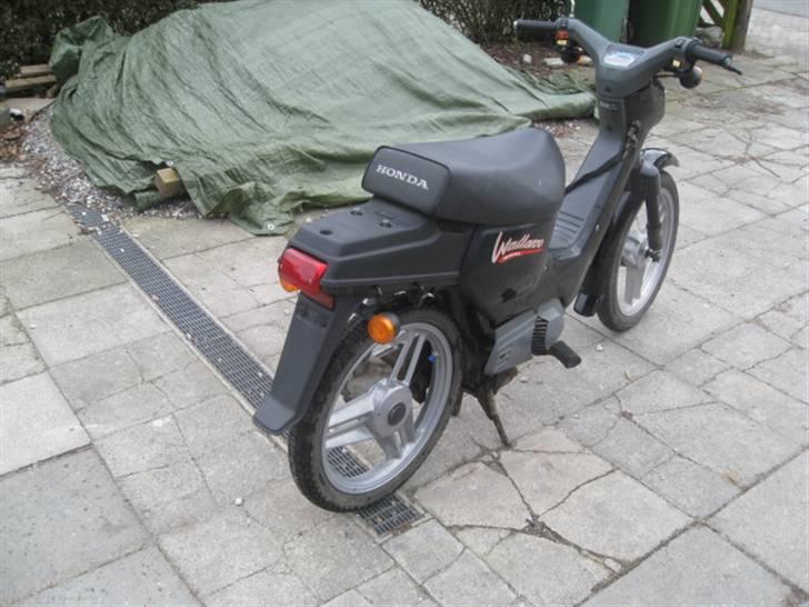 Honda Wallaroo billede 4