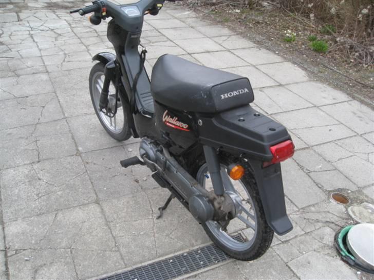 Honda Wallaroo billede 5