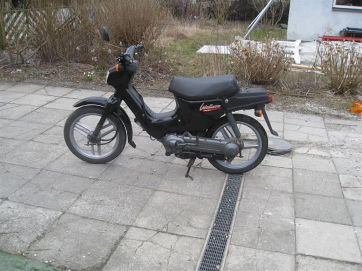 Honda Wallaroo billede 6