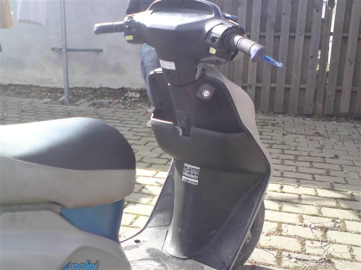 Honda SFX   billede 4