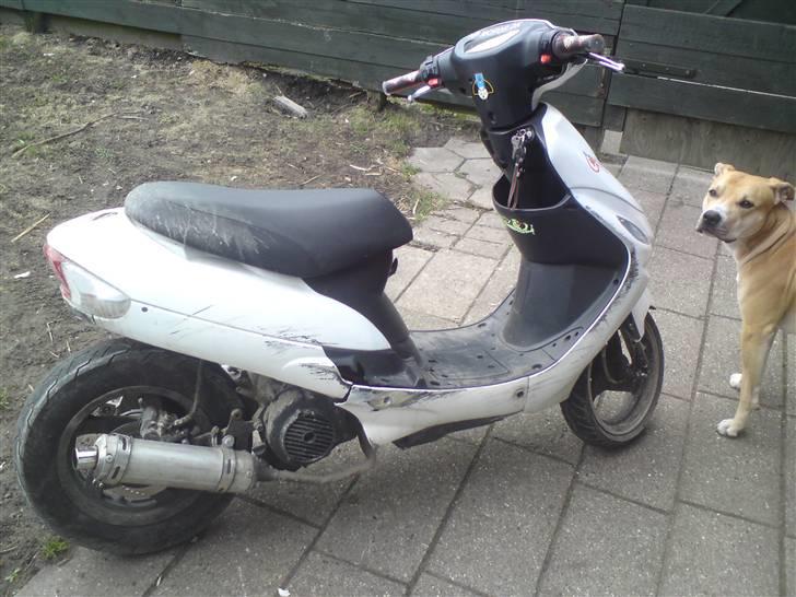 Giantco Sprint  billede 2