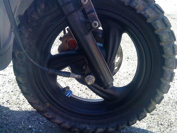 PGO G-Max DET BLÅ LYN billede 15