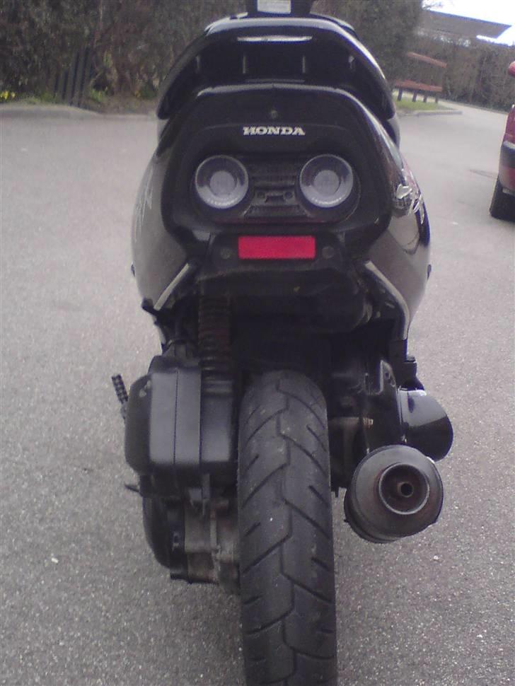 Honda SFX STJÅLET billede 6