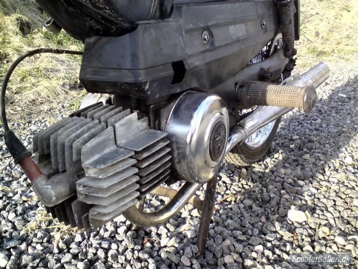 Puch Maxi KL  billede 5