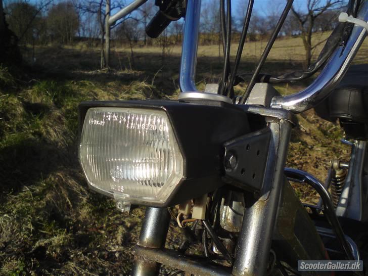 Puch Maxi KL  billede 7