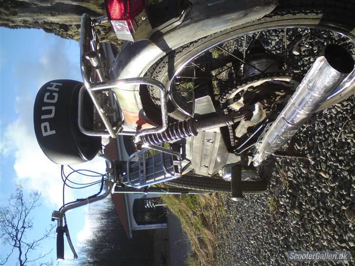Puch Maxi KL  billede 13