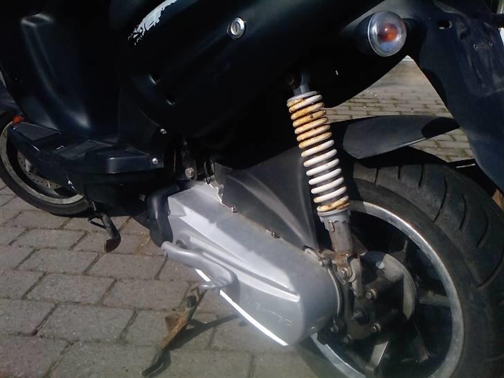 CPI Hussar (Solgt) ): billede 3