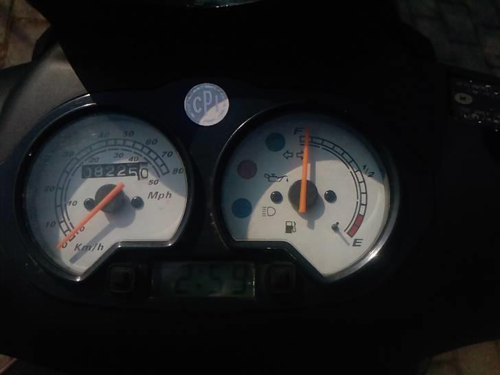 CPI Hussar (Solgt) ): billede 4