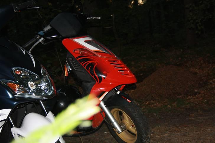 Aprilia Sonic billede 1