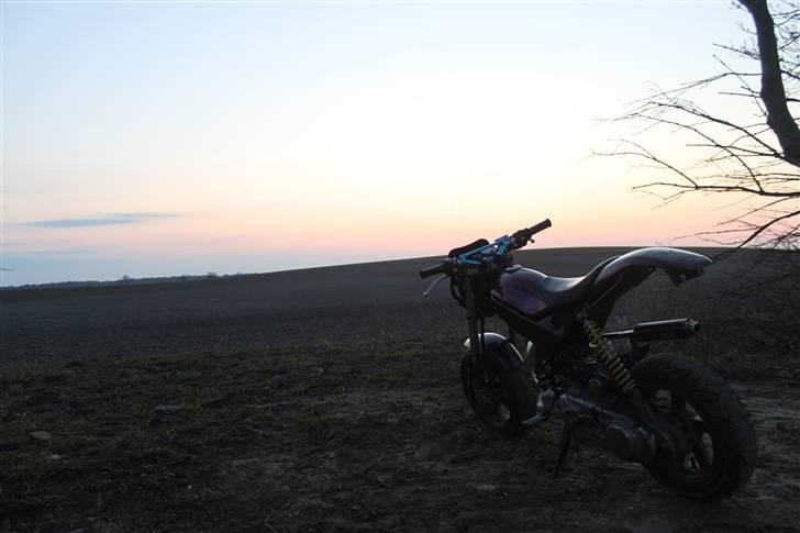 Suzuki Street Magic | [SOLGT] billede 10