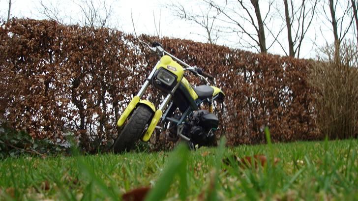 Suzuki street magic  FØR billede 10