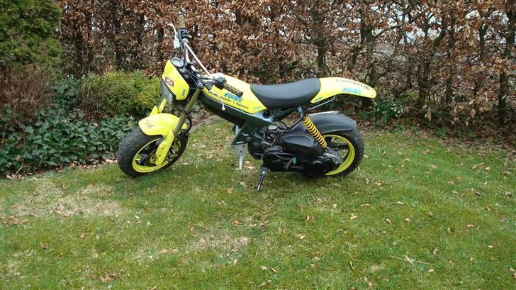 Suzuki street magic  FØR billede 12