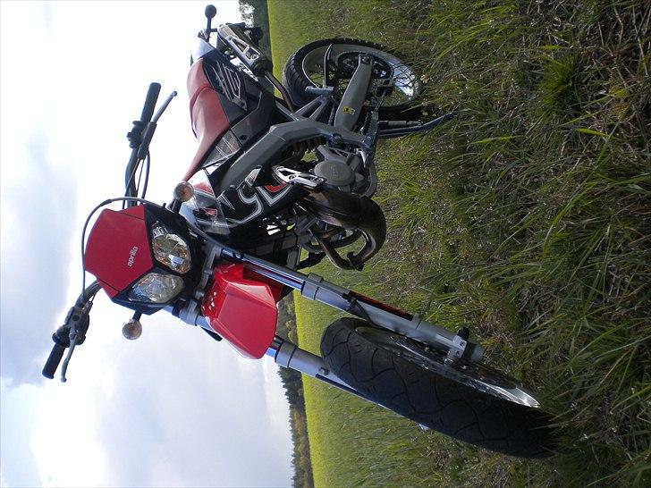 Aprilia sx50 billede 12