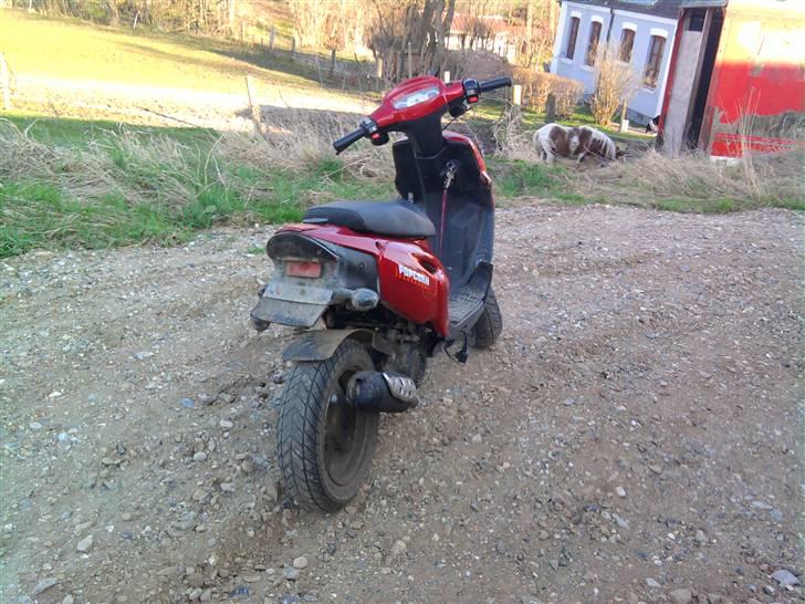 CPI Popcorn *solgt* billede 7