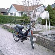 Yamaha Sting [SOLGT!]